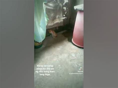 kain pekpek pornhub|PINOY KAIN PEPE SARAP DILA DILAAN .